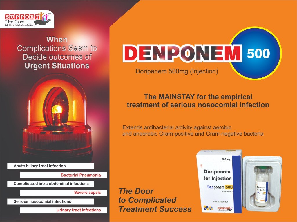 DENponem-500 Visual